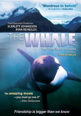 TheWhale