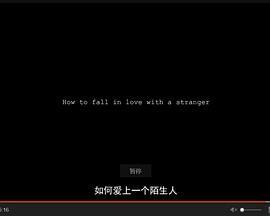 如何爱上陌生人