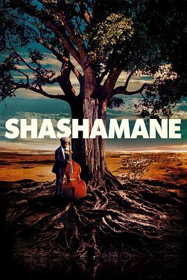 Shashamane